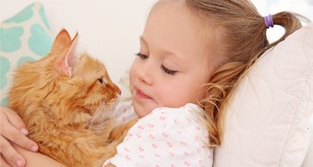 Why Kids Love Cats So Much