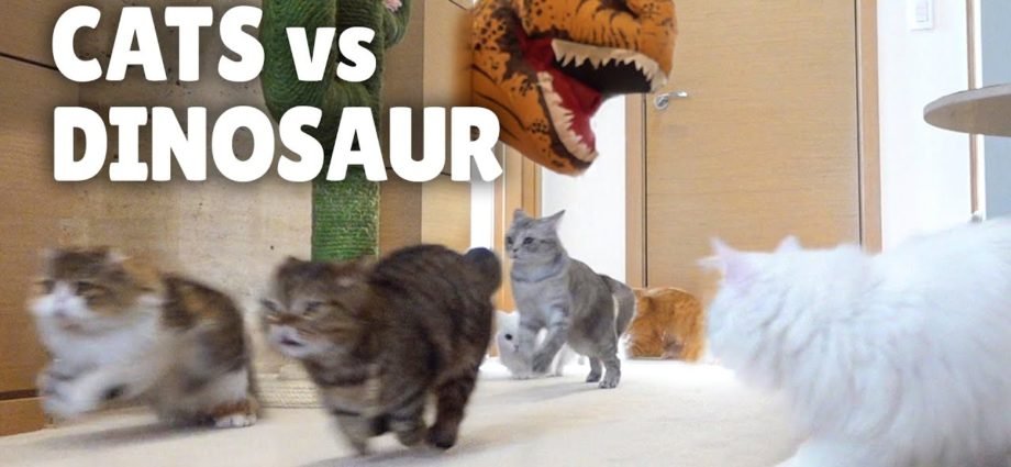 Cats vs Dinosaur | Kittisaurus