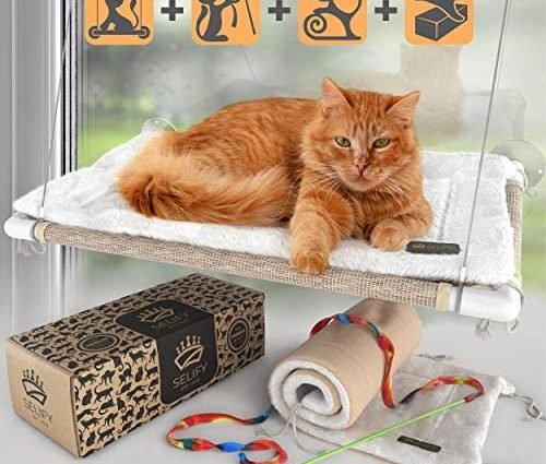 Cat Window Perch - Free Fleece Blanket and Toy – Extra Large and Sturdy – Holds Two Large Cats – Easy to Assemble!