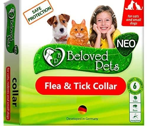 Flea and Tick Collar for Dogs and Cats - Natural Flea Treatment for Pets Kittens Puppies - Flea Prevention Up to 6 Months -Non-Allergic Repellent - Immediate Flea Control (Small)