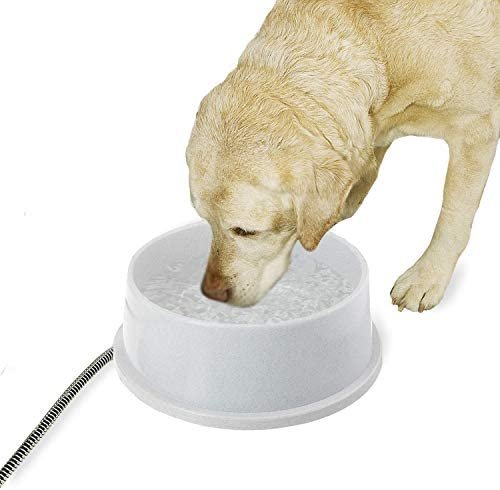 K&H Pet Products Thermal-Bowl Heated Cat & Dog Bowl
