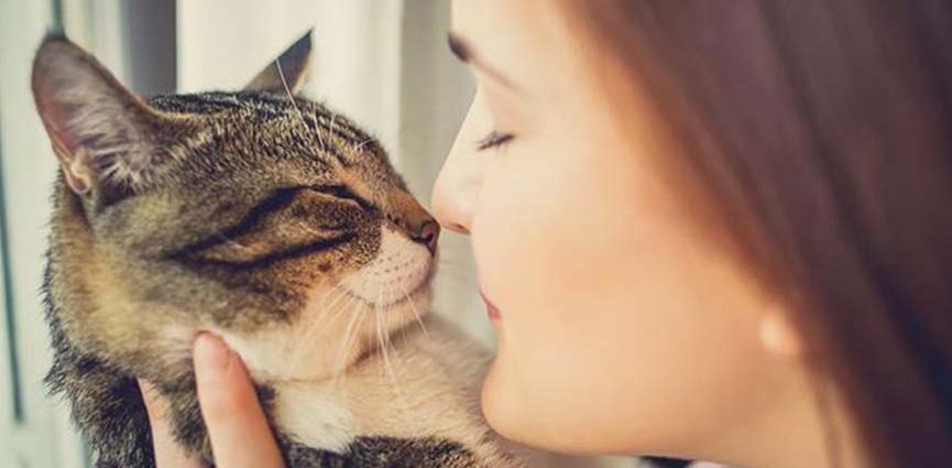 Why Do We Love Cats A Lot?