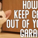 How to Keep Cats Out of Garage?
